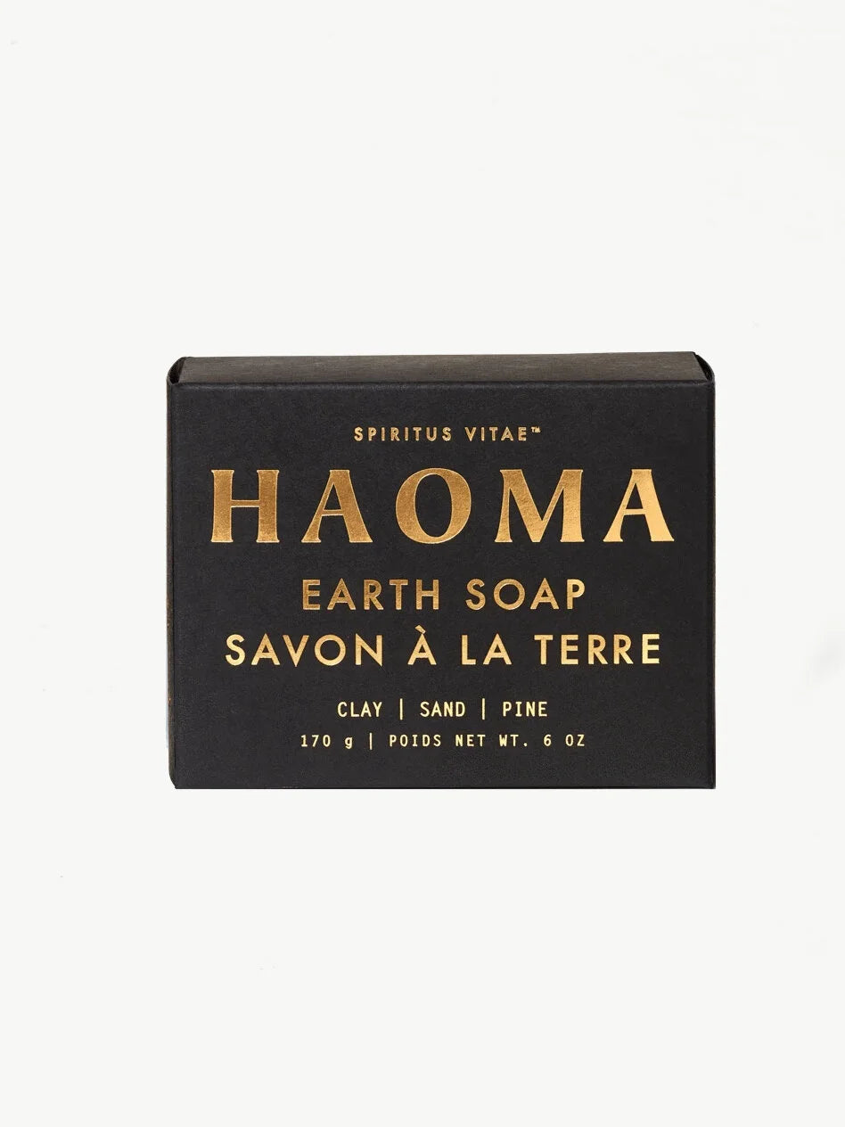 EARTH Soap Bar
